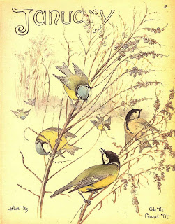 January birds